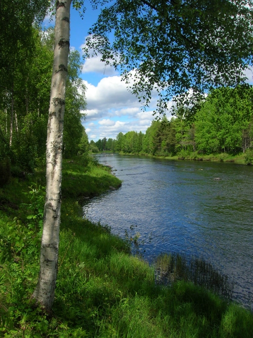 Lammin pirtti koski